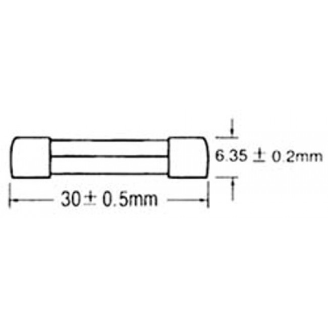 Ασφάλεια Γυάλινη 6x30mm Ταχείας Τήξεως 20A S1019 SXG