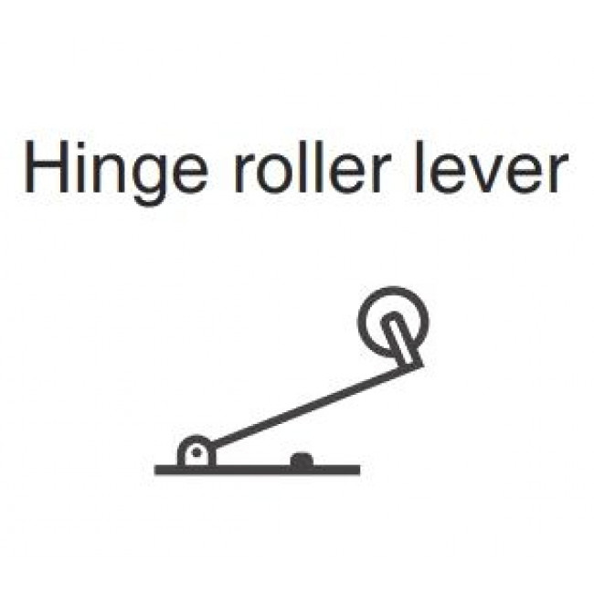 Μικροδιακόπτης Με Λαμάκι Και Ροδάκι V-156-1C-25 C&H