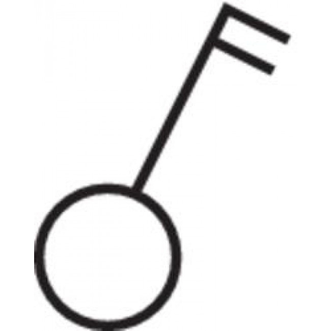 Μηχανισμός Διακόπτης Διπολικός Περιστροφικός 389303 BERKER