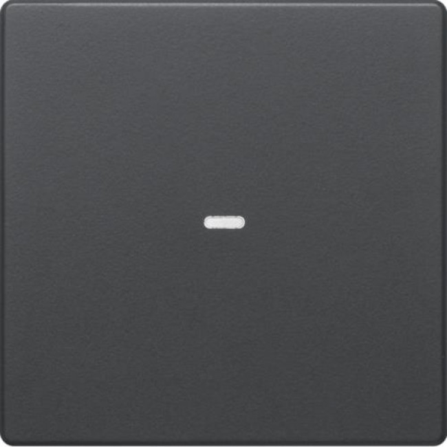 Μετώπη Μπουτόν KNX 1 Πλήκτρου Φωτισμού Ανθρακί Q.x BERKER