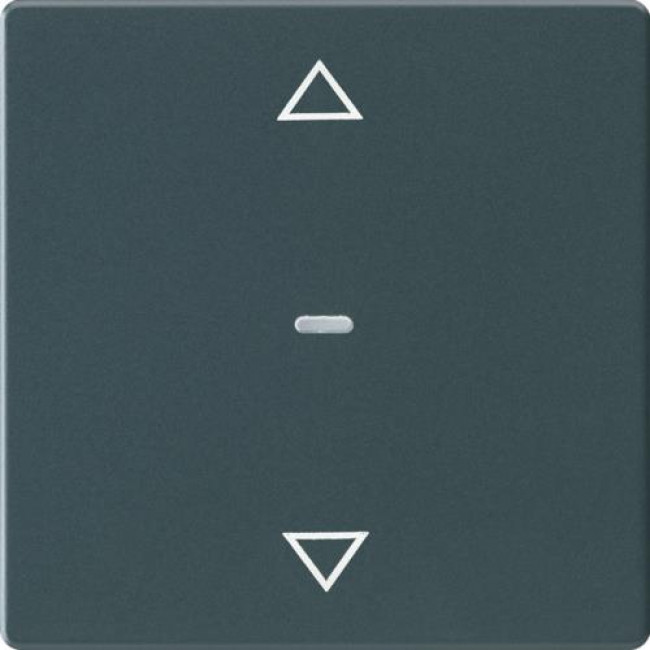 Μετώπη Μπουτόν KNX 1 Πλήκτρου Ρολών Ανθρακί Q.x BERKER