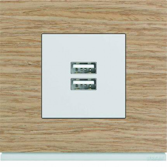 Μετώπη Διπλής Πρίζας USB 2 Στοιχείων Λευκό WXD112B HAGER