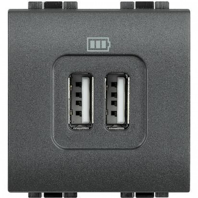 Πρίζα Φόρτισης USB TypeA+A 2 Στοιχείων Γραφίτης L4285C2 BTICINO