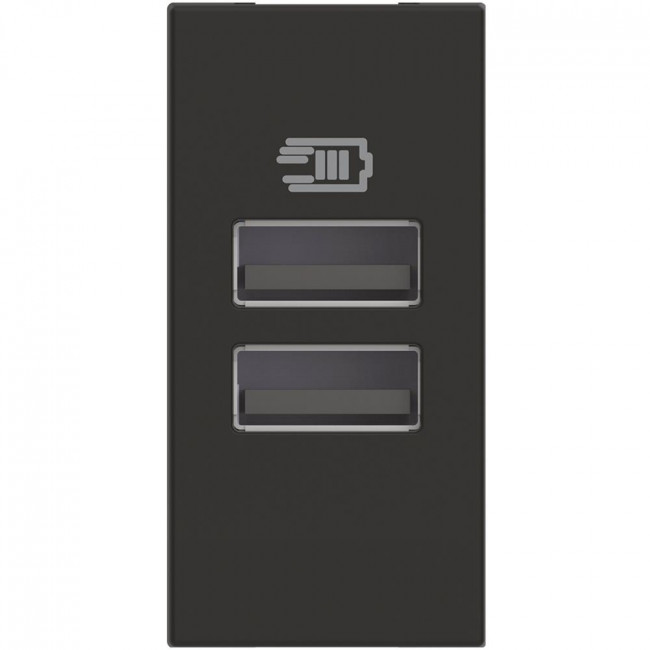 Πρίζα Φόρτισης USB Διπλή TypeA+A 1 Στοιχείου Μαύρο RG4191AA BTICINO