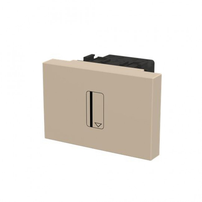 Καρτοδιακόπτης 2 Στοιχείων Σαμπάνια Zenit N2214.1 CV ABB