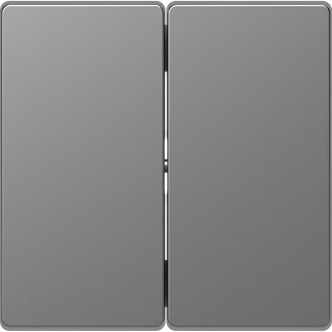 Μετώπη 2 Πλήκτρων Ατσάλι MEG3400-6036 D-Life MERTEN