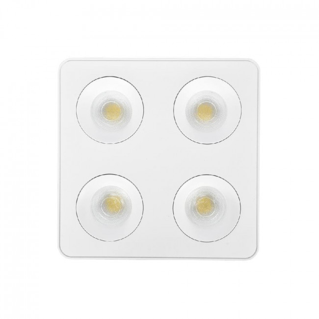 Σποτ Επίτοιχο LED 32W 3000k-6000k Λευκό X00290W INLIGHT