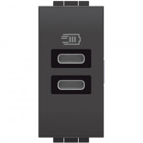 Πρίζα Φόρτισης USB Διπλή TypeC+C 1 Στοιχείου Γραφίτης L4191CC BTICINO