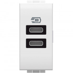 Πρίζα Φόρτισης USB Διπλή TypeC+C 1 Στοιχείου Λευκό N4191CC BTICINO