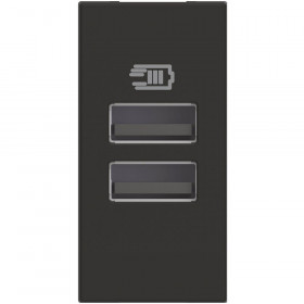 Πρίζα Φόρτισης USB Διπλή TypeA+A 1 Στοιχείου Μαύρο RG4191AA BTICINO