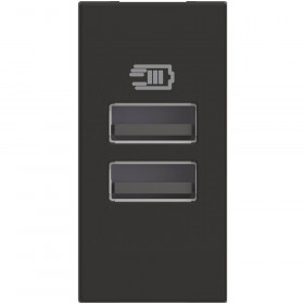 Πρίζα Φόρτισης USB Διπλή TypeA+A 1 Στοιχείου Μαύρο RG4191AA BTICINO