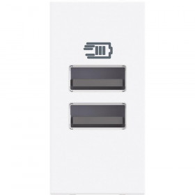 Πρίζα Φόρτισης USB Διπλή TypeA+A 1 Στοιχείου Λευκό RW4191AA BTICINO