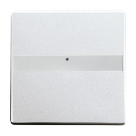 Μετώπη Επιγραφής Φωτεινής Λειτουργίας Αλουμίνιο 1764NLI-83 BUSCH-JAEGER/ABB