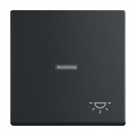 Μετώπη 1 Πλήκτρου Σύμβολο Φώς Μαύρο Soft 1789LI-885 BUSCH-JAEGER/ABB