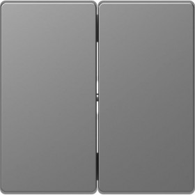 Μετώπη 2 Πλήκτρων Ατσάλι MEG3400-6036 D-Life MERTEN