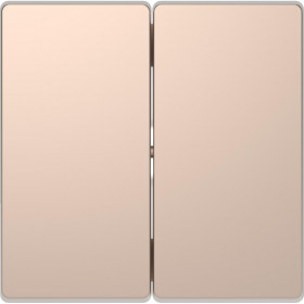 Μετώπη 2 Πλήκτρων Σαμπάνια MTN3400-6051 D-Life MERTEN