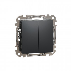 Μπουτόν Ανθρακί Διπλό SDD114118 Sedna SCHNEIDER ELECTRIC
