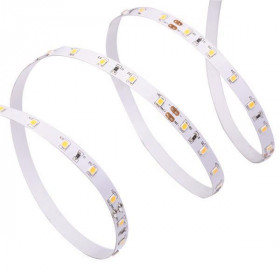 Ταινία Led 5m 10W/m 12Vdc 6500k IP20 Pro EUROLAMP