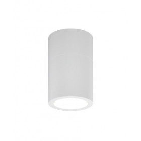 Σποτ Οροφής GU10 Λευκό Chelan 80300124 IT-LIGHTING