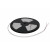 Ταινία Led NEON 10m 6W/m 24VDC 6500K IP67 ADELEQ