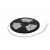 Ταινία Led NEON 10m 8W/m 24VDC 6500K IP67 ADELEQ