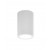 Σποτ Οροφής GU10 Λευκό Chelan 80300124 IT-LIGHTING