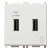 Πρίζα Φόρτισης USB Διπλή TypeA+A 2 Στοιχείων Λευκό Plana 14295 VIMAR