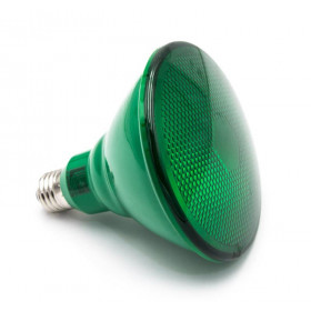 Λάμπα LED PAR38 10W E27 Πράσινο 230V 38° LUMEN
