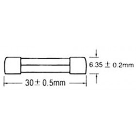 Ασφάλεια Γυάλινη 6x30mm Ταχείας Τήξεως 10A S1019 SXG