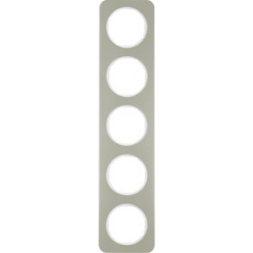 Πλαίσιο 5 Θέσεων Inox Με Λευκό R.1 BERKER