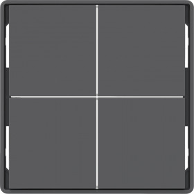 Μετώπη Bus Coupler KNX 2 Πλήκτρων Ανθρακί Q.x BERKER