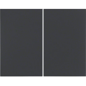 Μετώπη KNX Ασύρματη 2 Πλήκτρων Ανθρακί K.1 85648175 BERKER