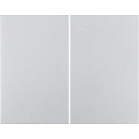 Μετώπη KNX Ασύρματη 2 Πλήκτρων Αλουμίνιο K.5 85648177 BERKER