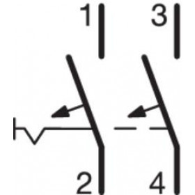 Αυτόματη Ασφάλεια 2P C 100A 15kA HMC290 HAGER