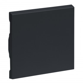 Μετώπη 1 πλήκτρου Ανθρακί Seano™ 765406 LEGRAND