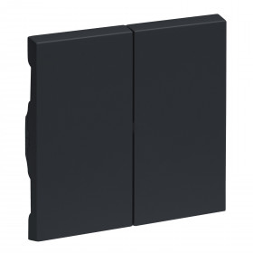 Μετώπη 2 πλήκτρων Ανθρακί Seano™ 765408 LEGRAND