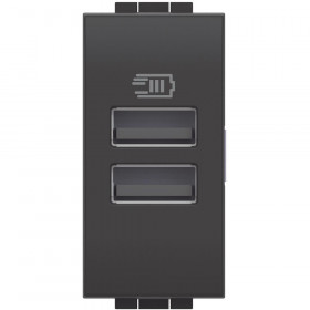Πρίζα Φόρτισης USB Διπλή TypeΑ+A 1 Στοιχείου Γραφίτης L4191AA BTICINO