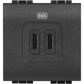 Πρίζα Φόρτισης USB TypeC+C 2 Στοιχείων Γραφίτης L4286C2 BTICINO
