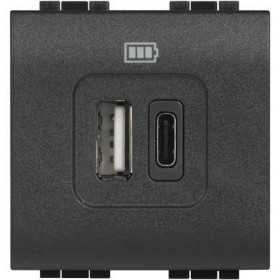 Πρίζα Φόρτισης USB TypeA+C 2 Στοιχείων Γραφίτης L4287C2 BTICINO