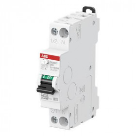 Ρελέ Διαρροής AC 2Ρ 30mA Με Αυτόματη Ασφάλεια C 10Α 6kA DS301C-C10-AC30 ABB