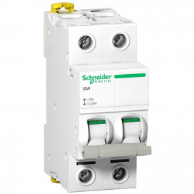 Διακόπτης Ράγας 2P 100A A9S65291 SCHNEIDER ELECTRIC