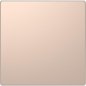 Μετώπη 1 Πλήκτρου Σαμπάνια MTN3300-6051 D-Life MERTEN