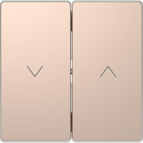 Μετώπη 2 Πλήκτρων Ρολών Σαμπάνια MTN3855-6051 D-Life MERTEN