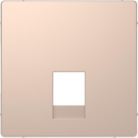Μετωπη Πρίζας Τηλεφώνου RJ11(RJ12) Σαμπάνια MTN4215-6051 D-Life MERTEN