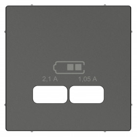 Μετώπη Πρίζας Διπλής USB Ανθρακί System-M