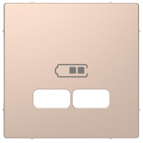 Μετώπη Πρίζας Διπλής USB Σαμπάνια MTN4367-6051 D-Life MERTEN
