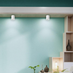 Σποτ Οροφής GU10 Λευκό 42025-WH INLIGHT